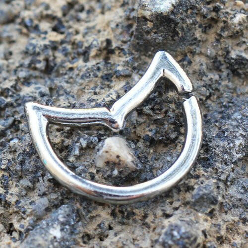 316L Stainless Steel Annealed Dolphin Tale Ring - Impulse Piercings