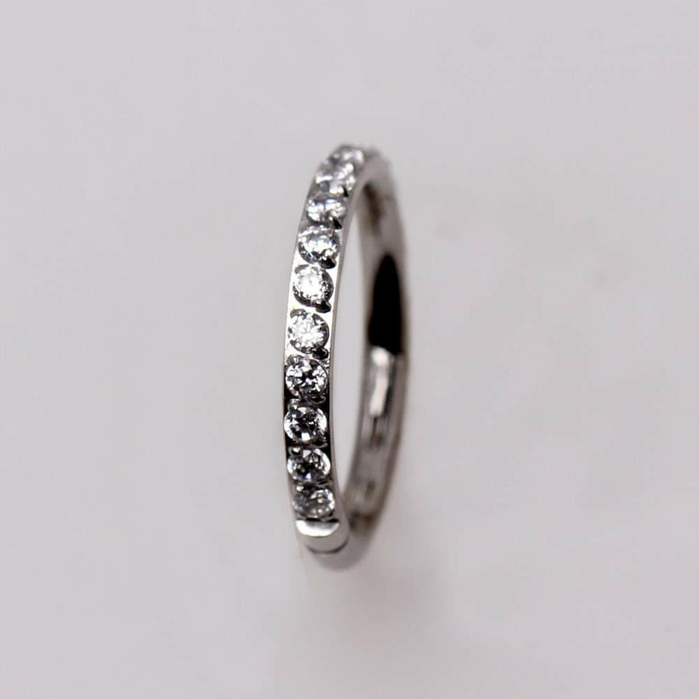 316L Stainless Steel Multi-Jeweled Seamless Clicker Ring.