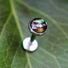 Internally Threaded Stainless Steel Abalone Flat Top Labret - Impulse Piercings