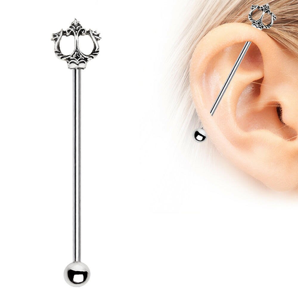 Stainless Steel Ancient Trident of Poseidon Industrial Barbell.