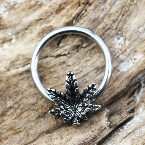 Stainless Steel Pot Leaf Snap-in Captive Bead Ring / Septum Ring - Impulse Piercings