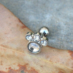 Surgical Steel Gemmed Animal Paw Cartilage Earring - Impulse Piercings